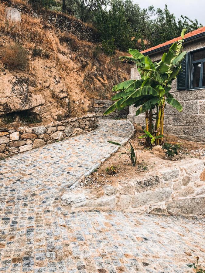 Barro  Quinta Do Fojo Valonguinho, Barro B&B 외부 사진